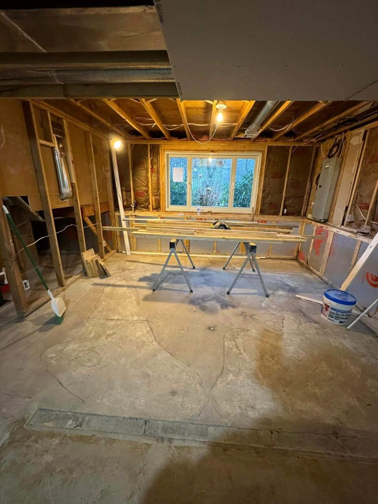 Full Basement Renovation